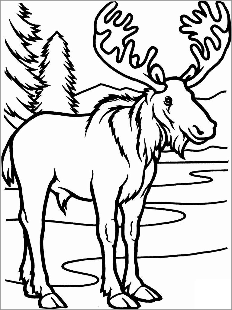 Coloring Page Of Caribou