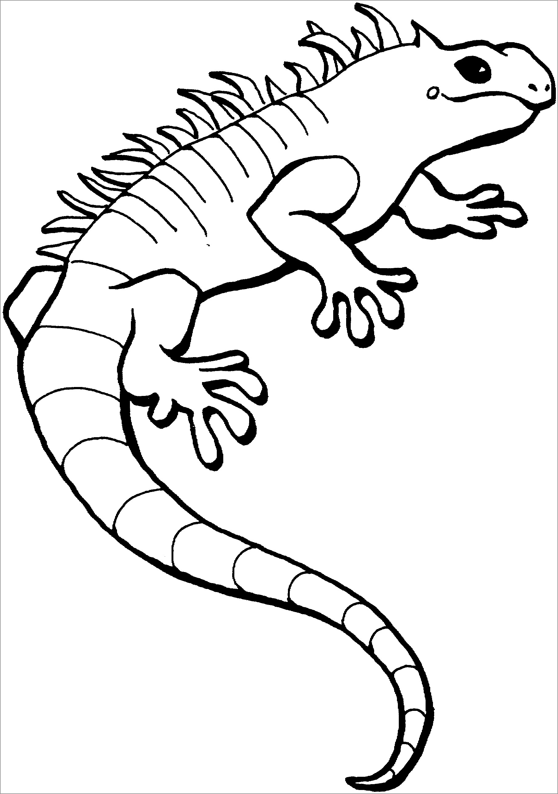 Coloring Page Of Lizards