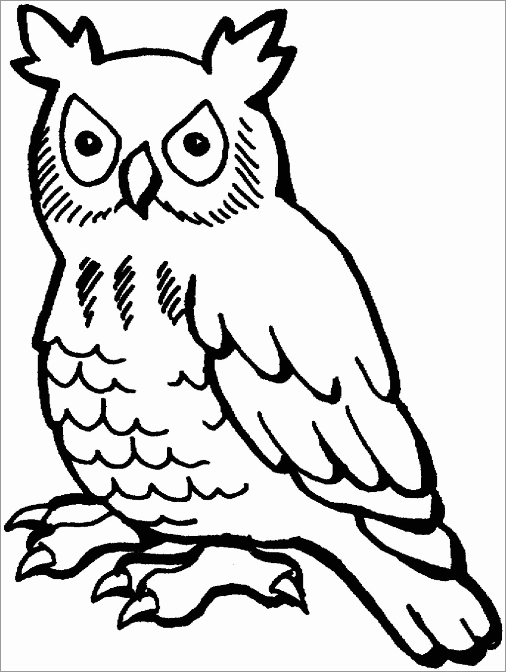 Coloring Page Of Owl
