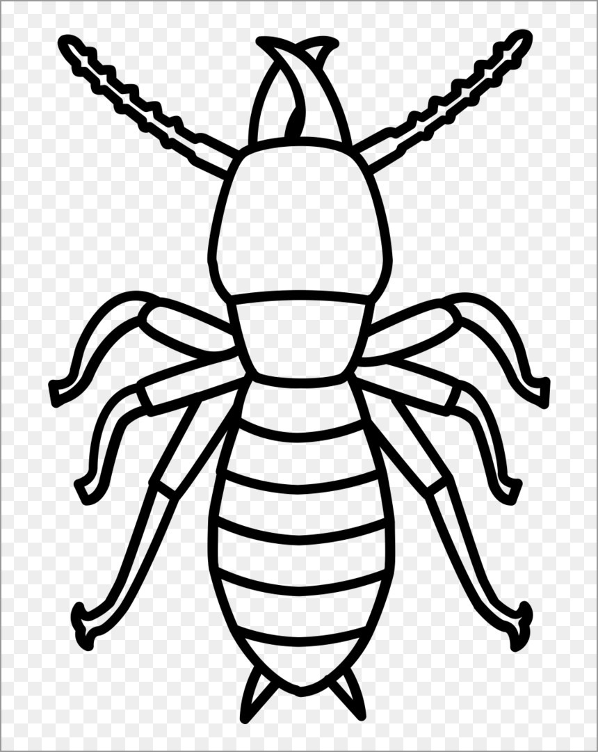 Termites Coloring Pages