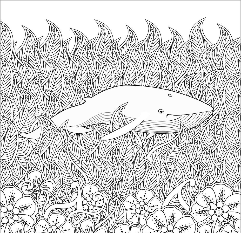 Coloring Page Of Whale for Adult