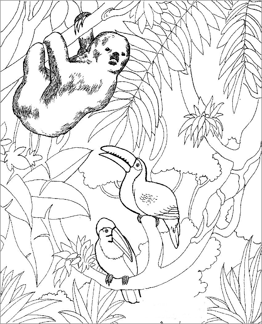 Coloring Page Of Zoo Animals for Preschoolers   ColoringBay
