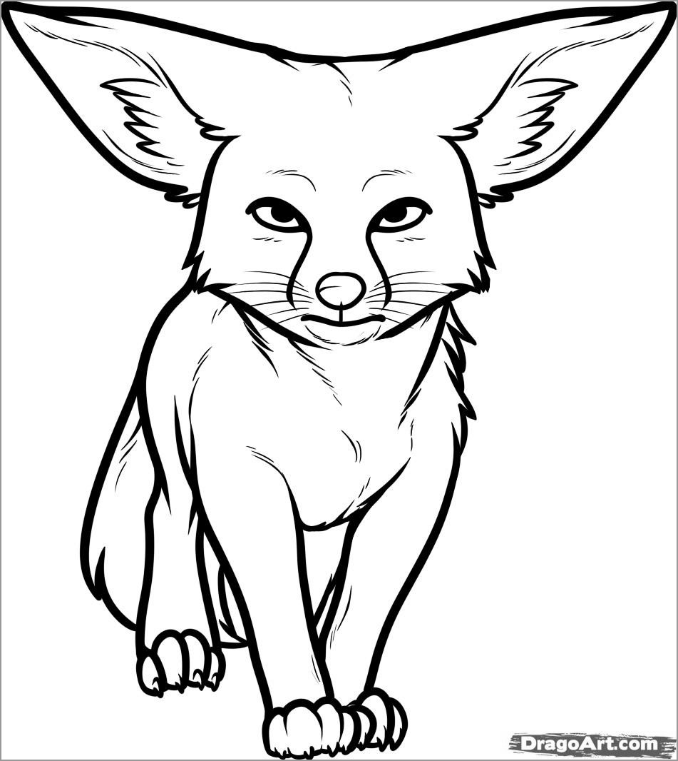 Coloring Pages Of Anime Animals   ColoringBay