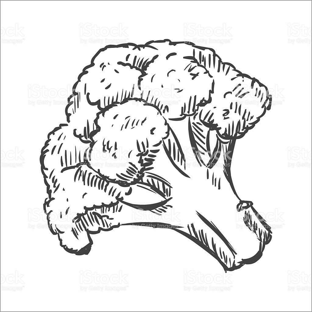 Coloring Pages Of Broccoli Coloringbay
