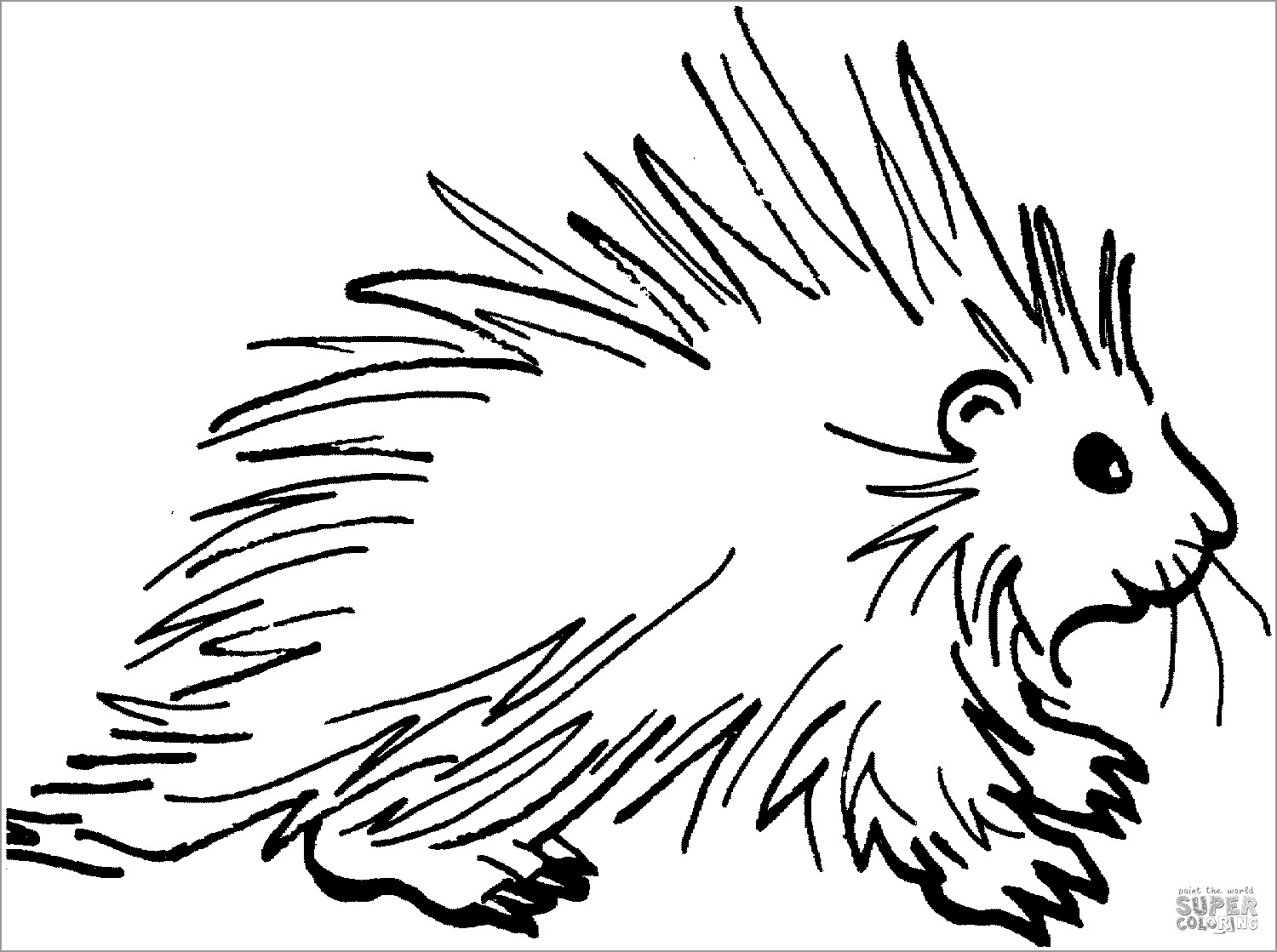 Coloring Pages Of Porcupines