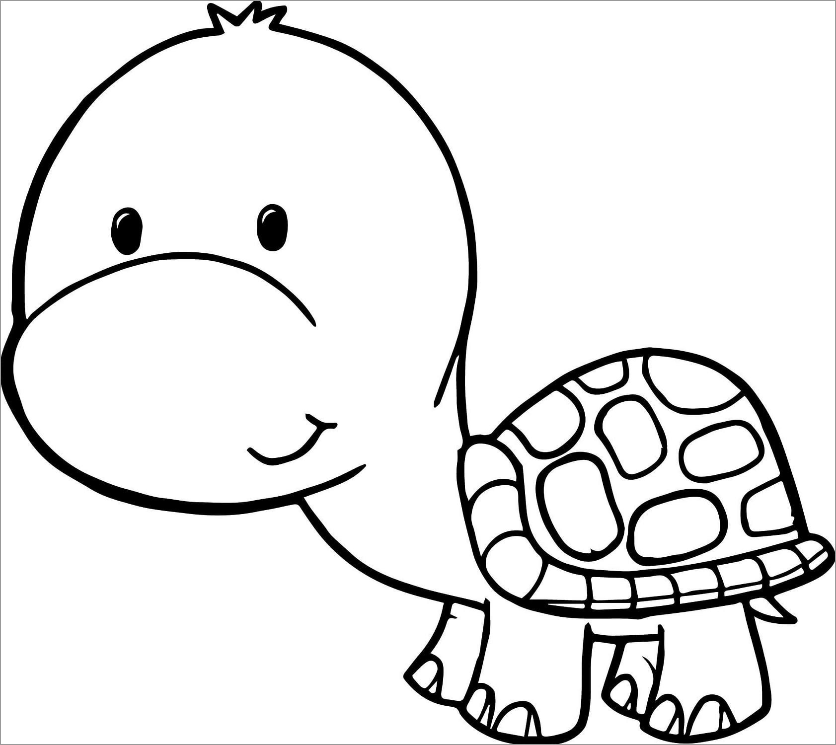 Coloring Pages Of tortoise