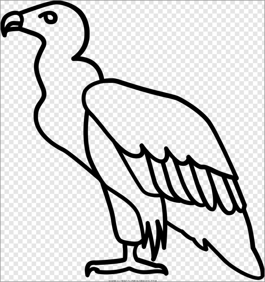 Coloring Pages Of Vultures