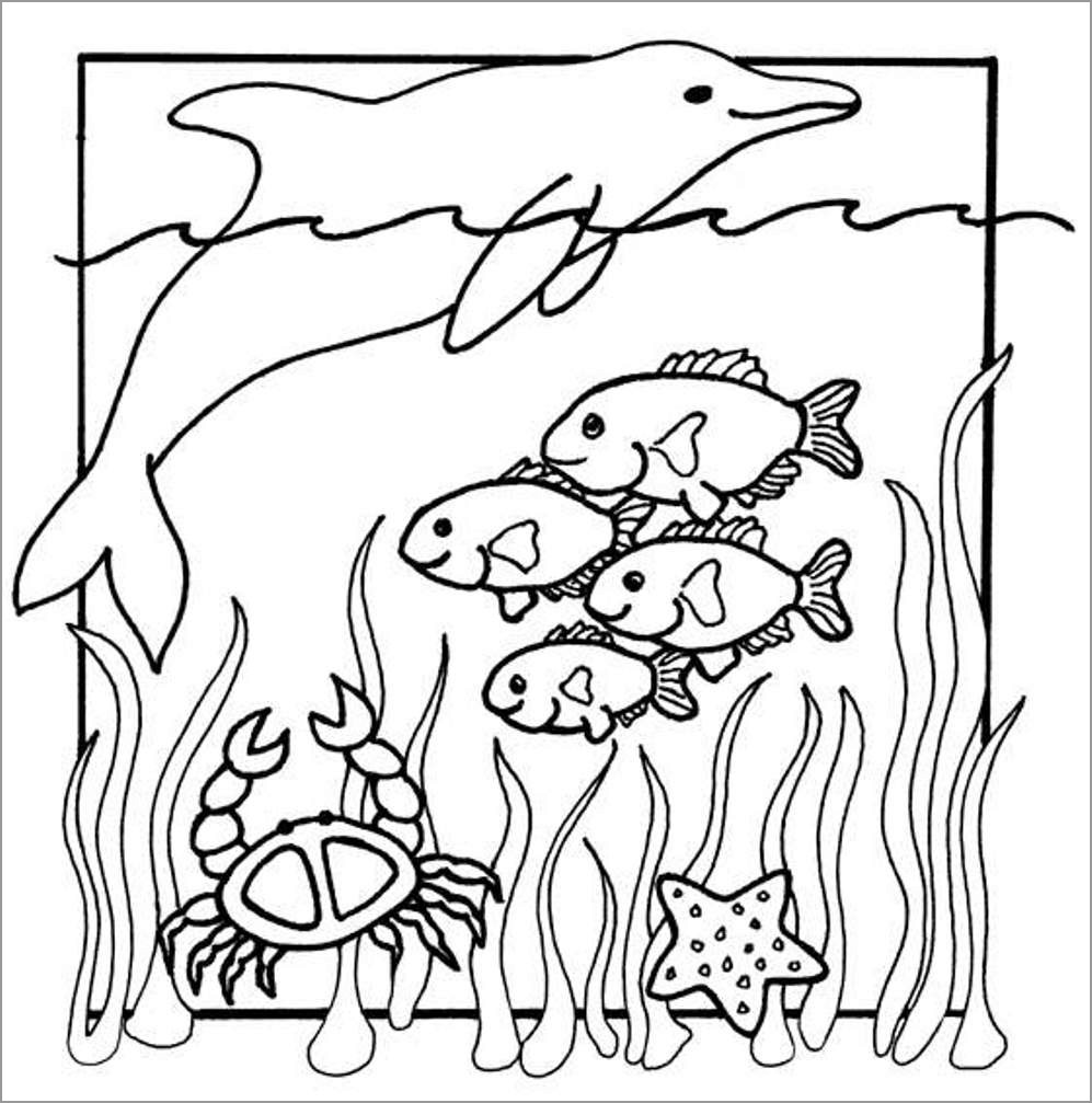 Cool Aquatic Animals Coloring Page