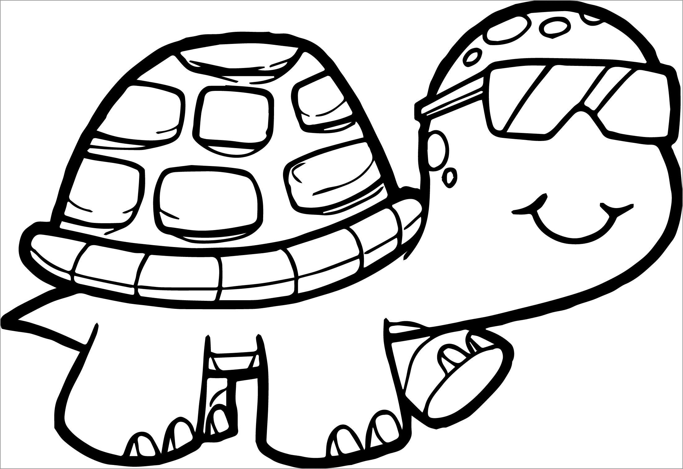 Cool tortoise Coloring Page for Kids