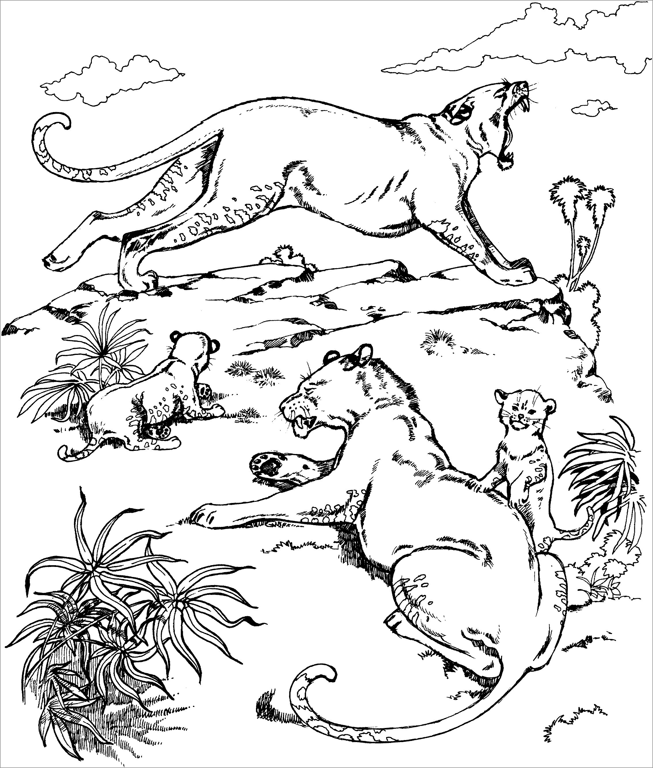 Cougar Family Coloring Page