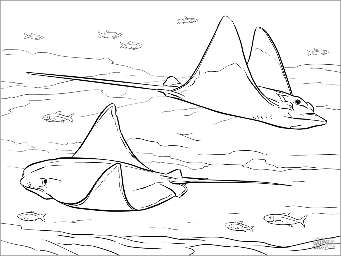 Cownose and Bull Eagle Rays Coloring Page