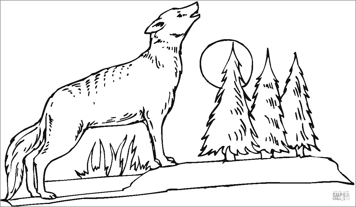 Coyote Howling at the Moon Coloring Page