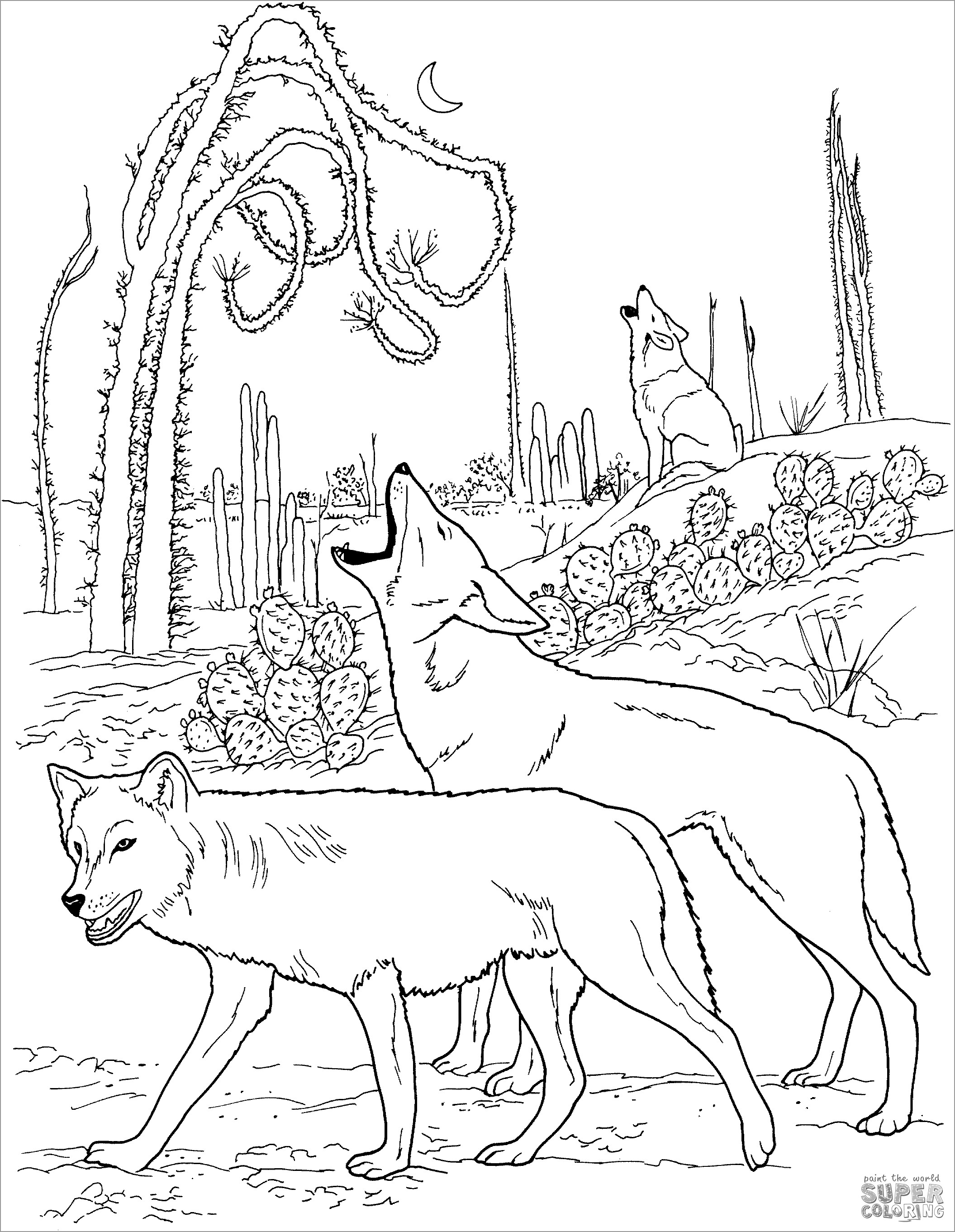 Coyotes Desert Animal Coloring Page