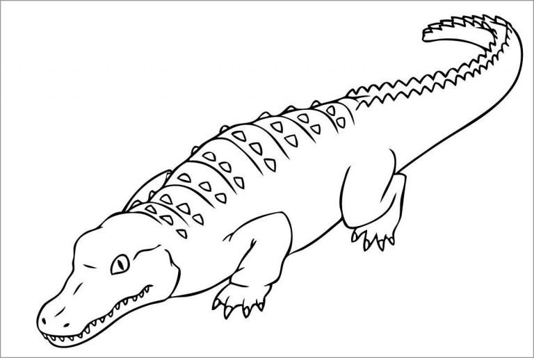 Crocodile Coloring Pages Free - ColoringBay