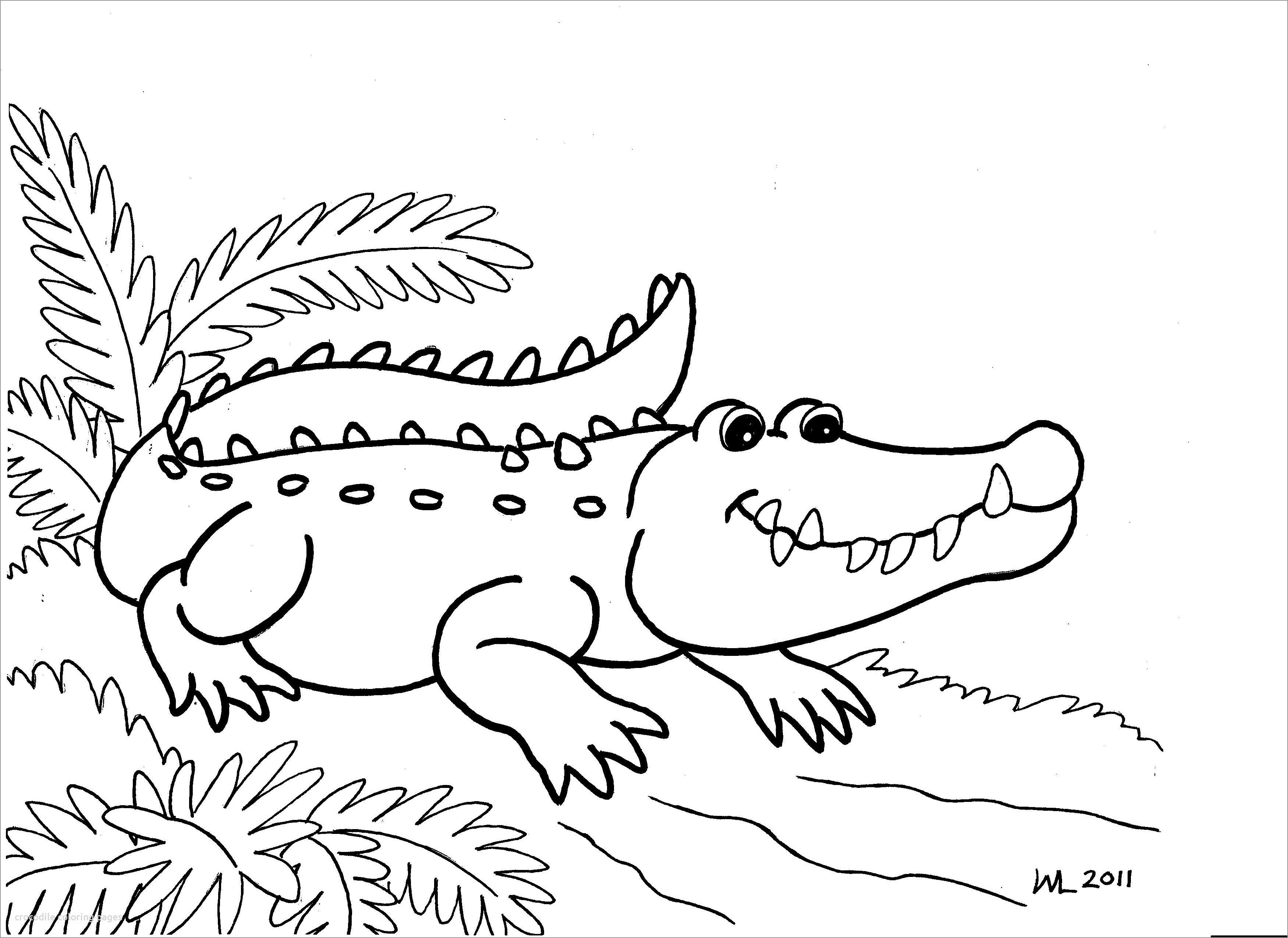 Crocodile Coloring Pages to Print