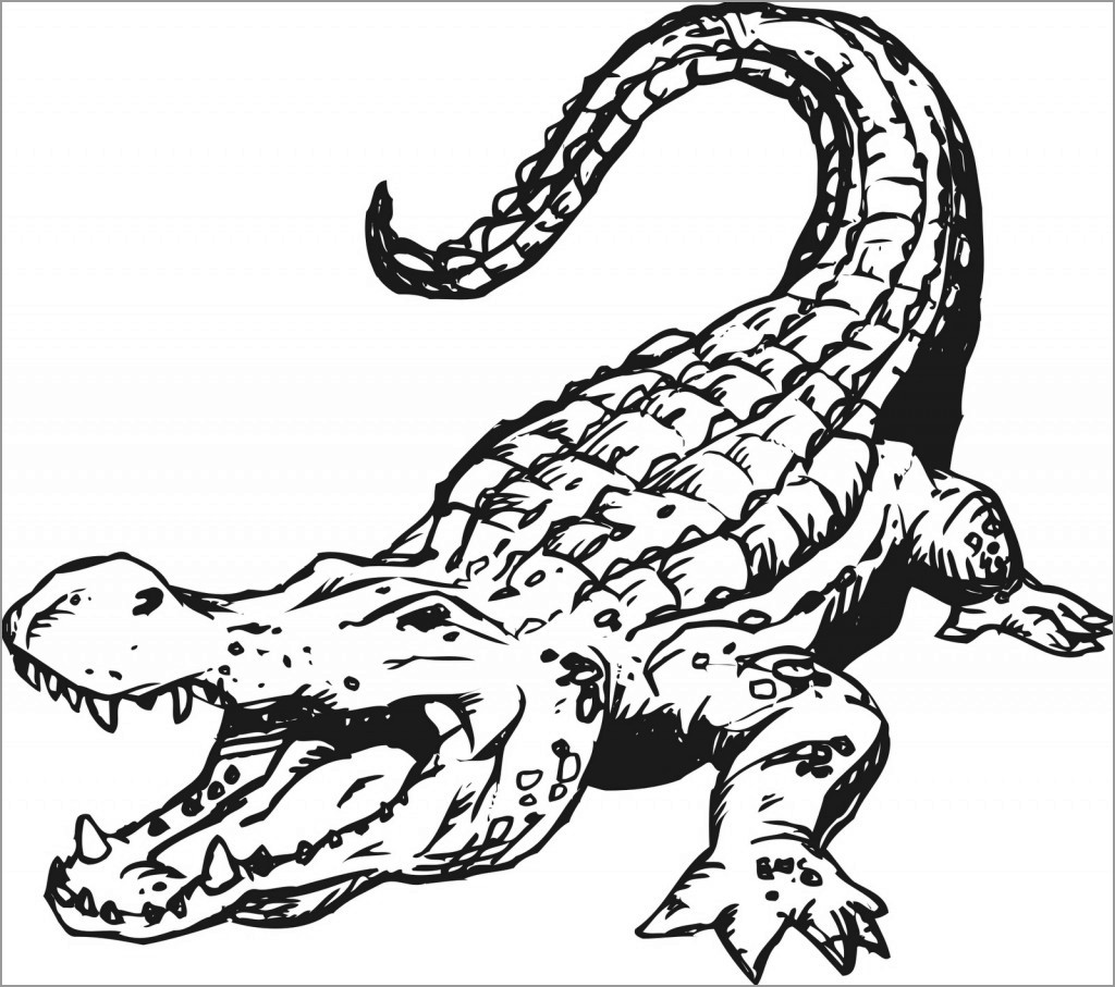 Crocodile Dangerous Animals Coloring Page   ColoringBay
