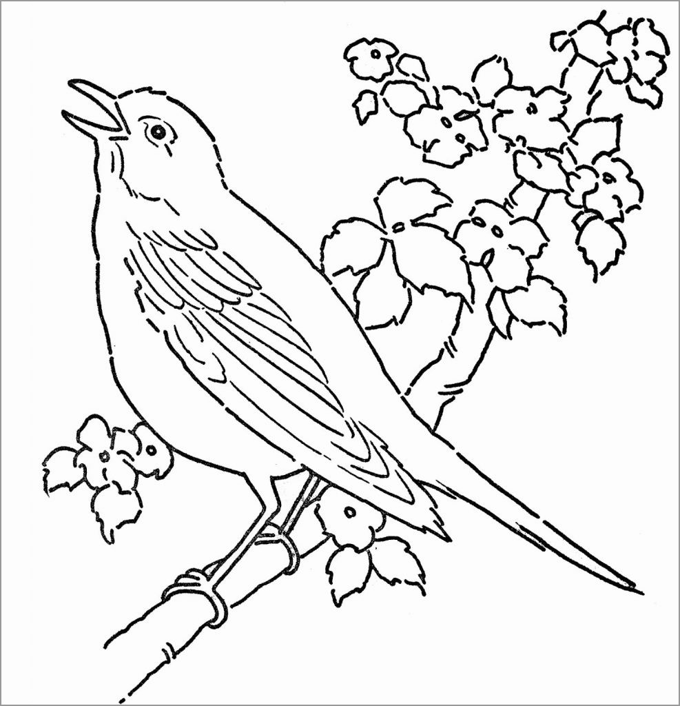 Cuckoo Bird Coloring Page for Adult