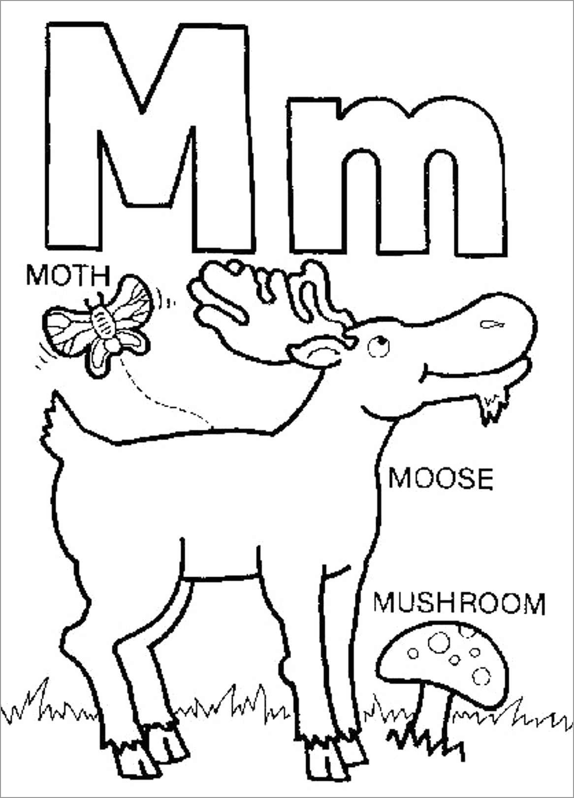 Cute Alaska Moose Letter M Coloring Page Coloringbay