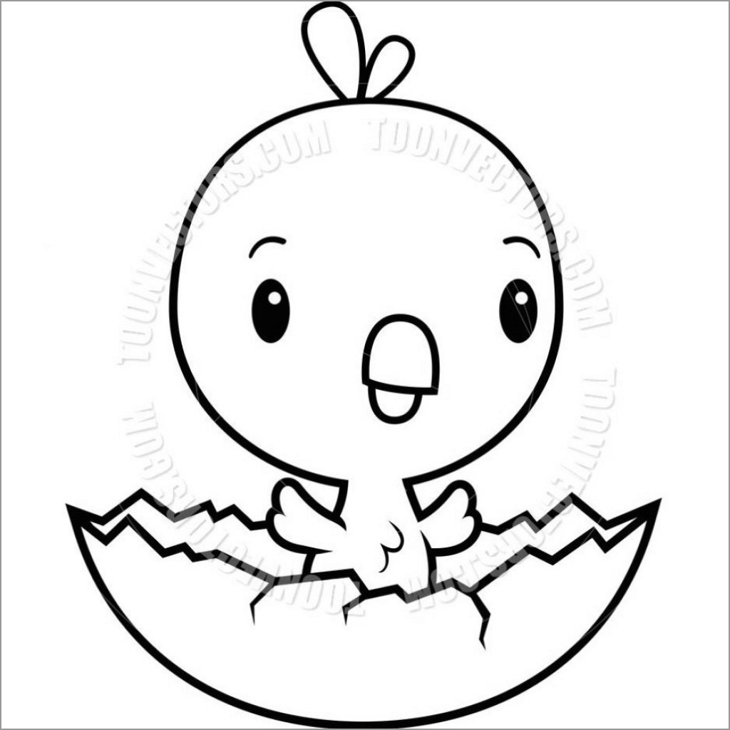 Chick Coloring Pages ColoringBay