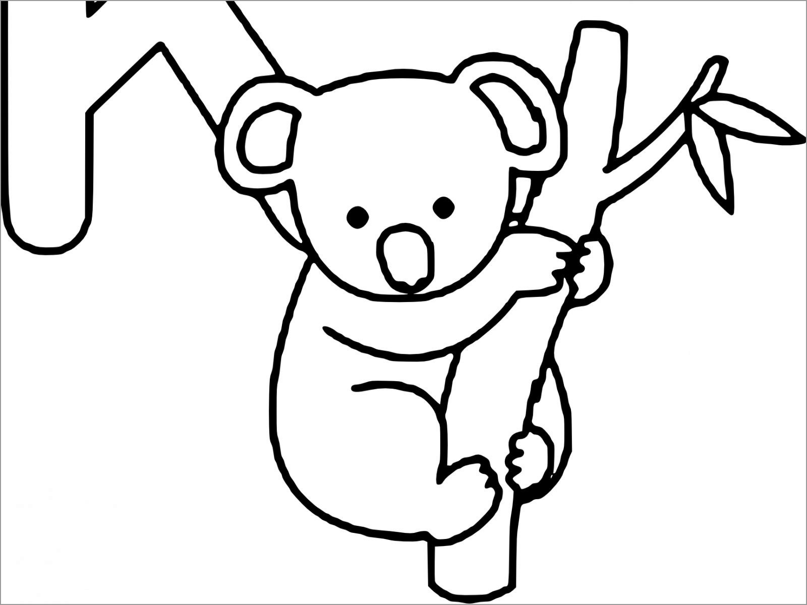 Cute Baby Koala Coloring Page   ColoringBay