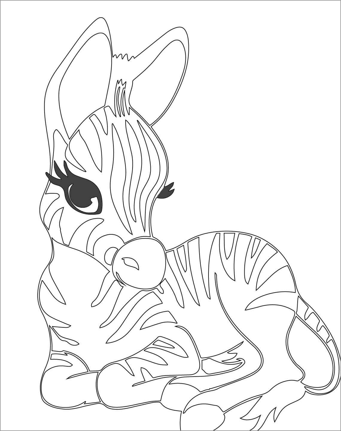 Cute Baby Zebra Coloring Page for Kids