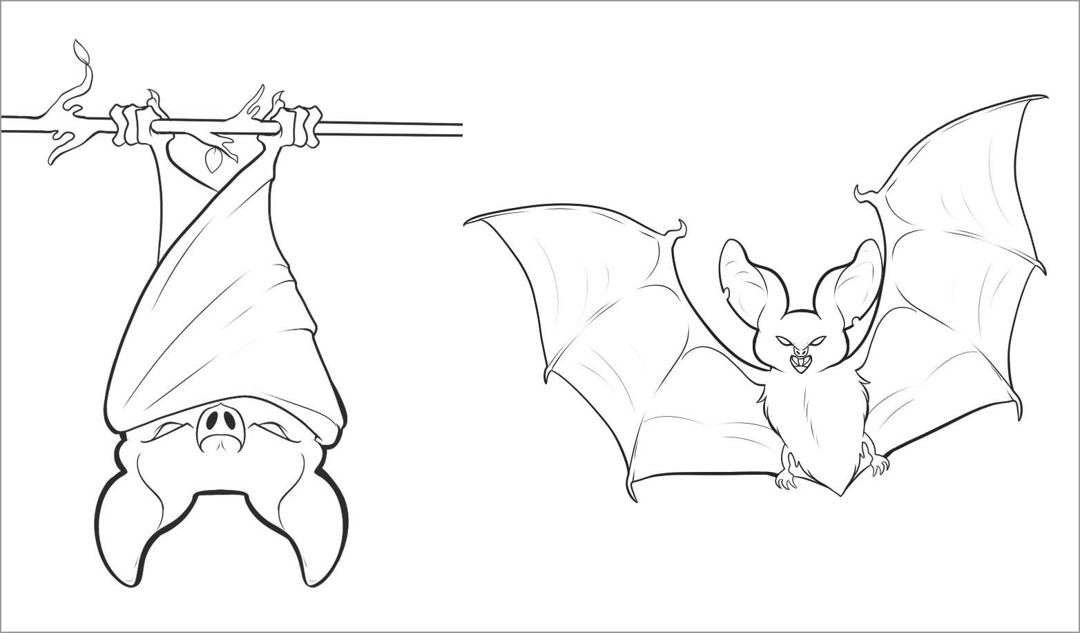 Cute Bat Coloring Pages
