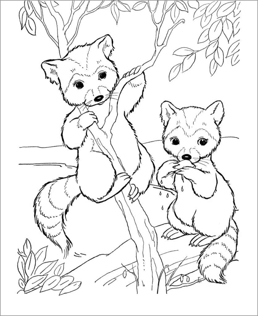 Cute Chester Raccoon Coloring Page