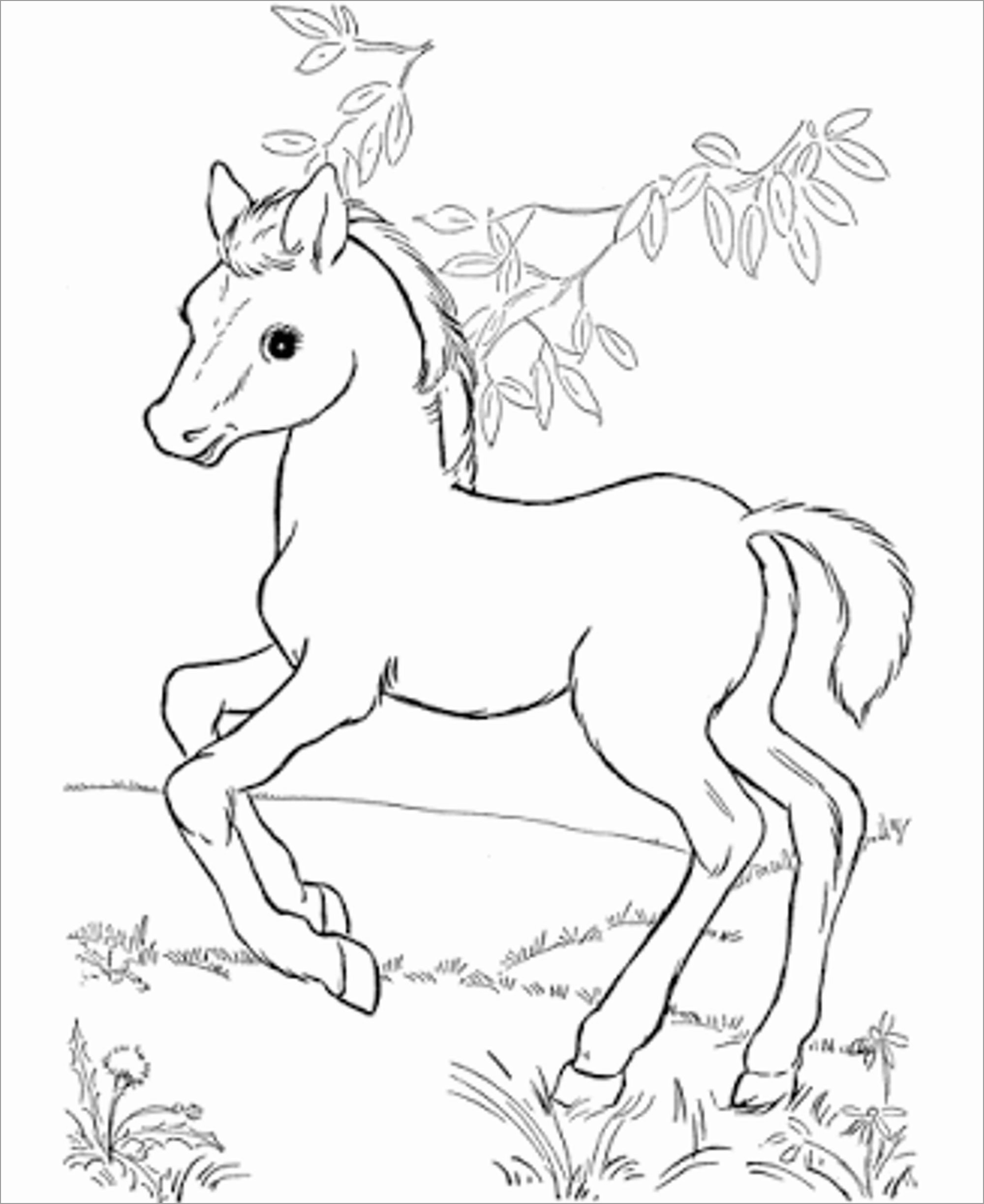 Cute Horse Coloring Page - ColoringBay