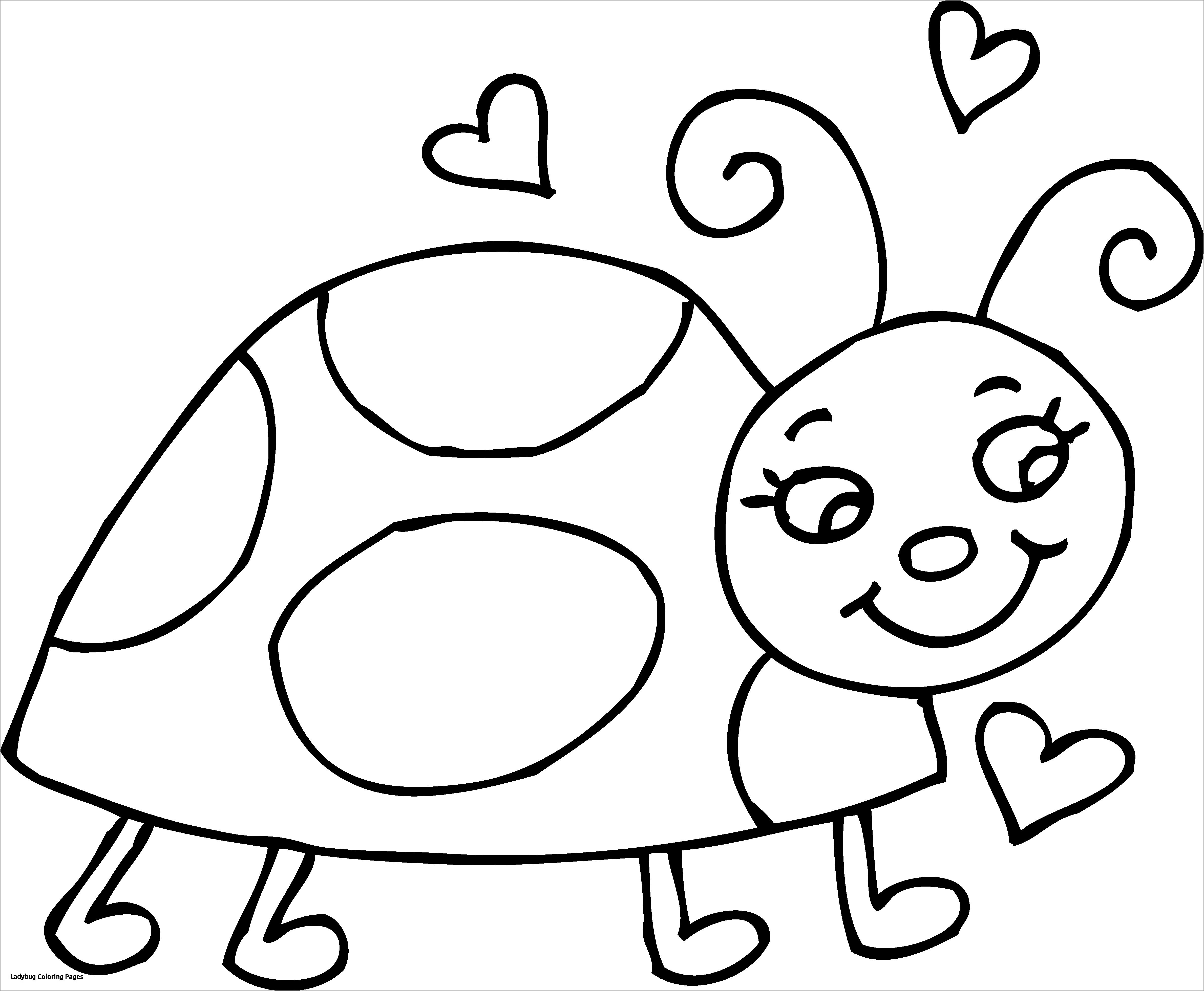 Cute Ladybug Coloring Page for Kids   ColoringBay