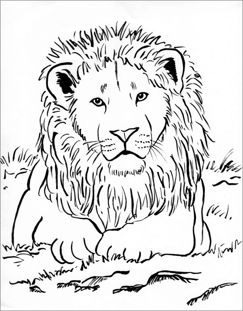 Cute Lion Coloring Page