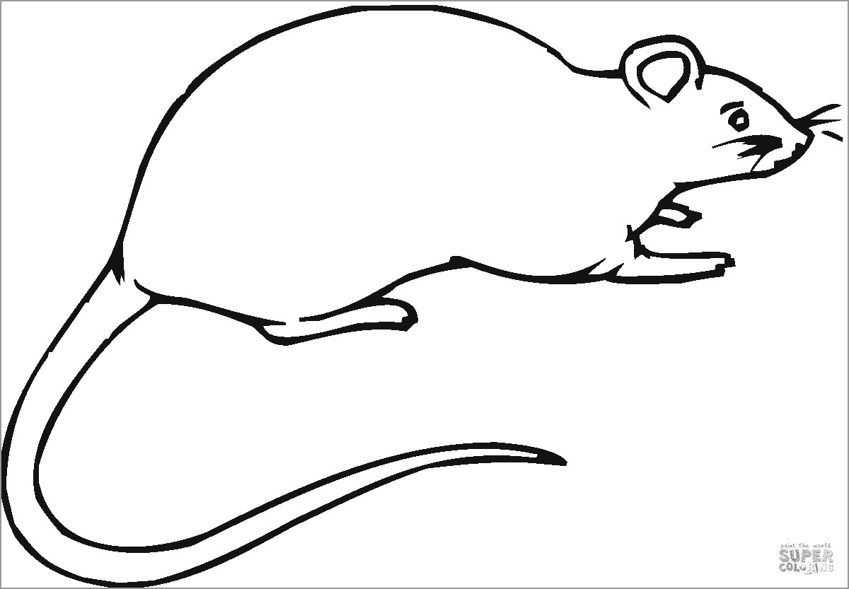 Cute Mole Rat Coloring Page for Preschoolers
