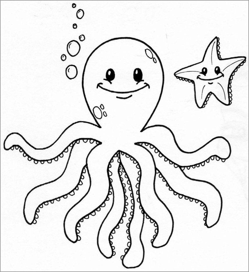 Cute Octopus Coloring Pages   ColoringBay