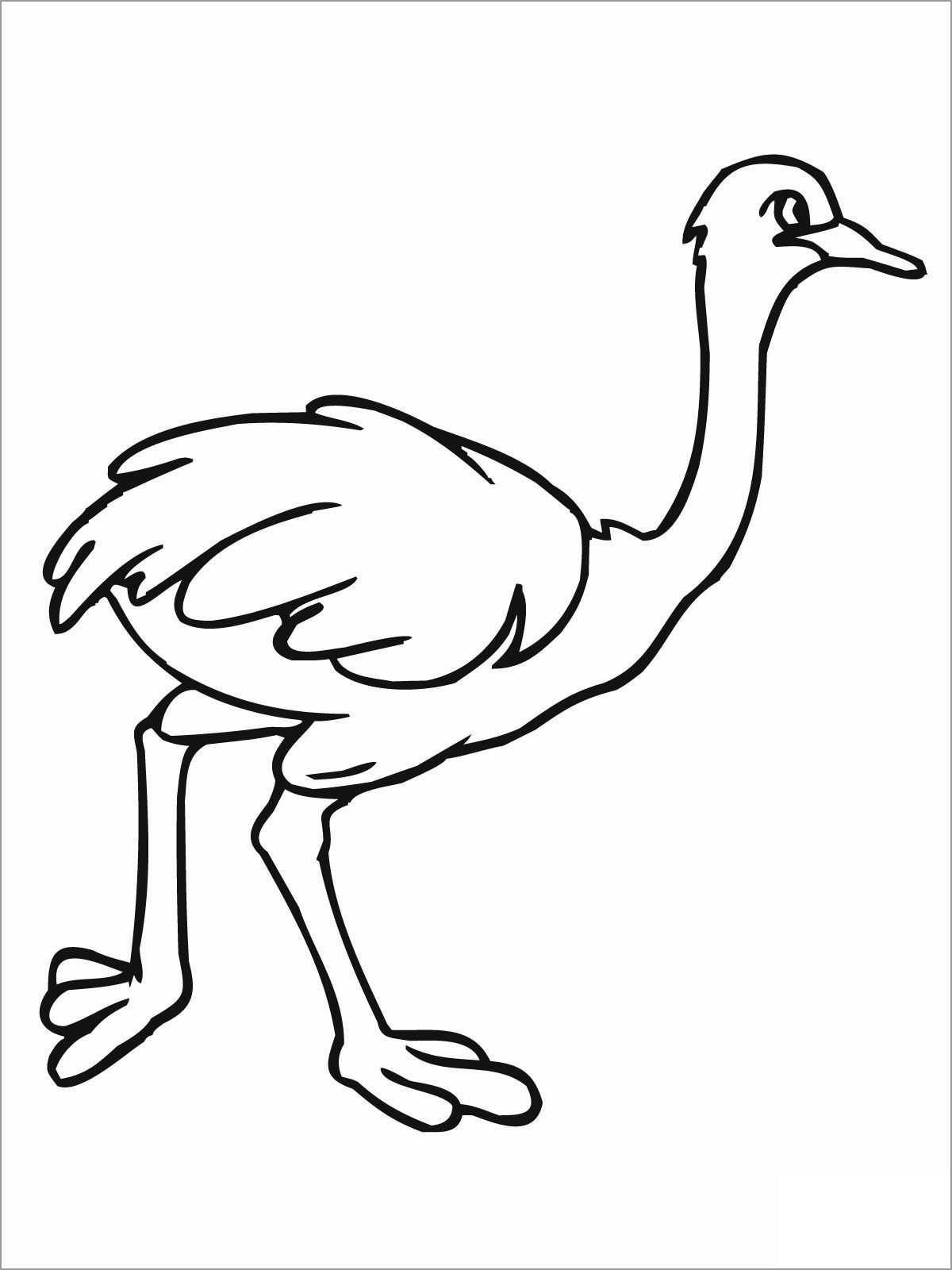 Cute Ostrich Coloring Page
