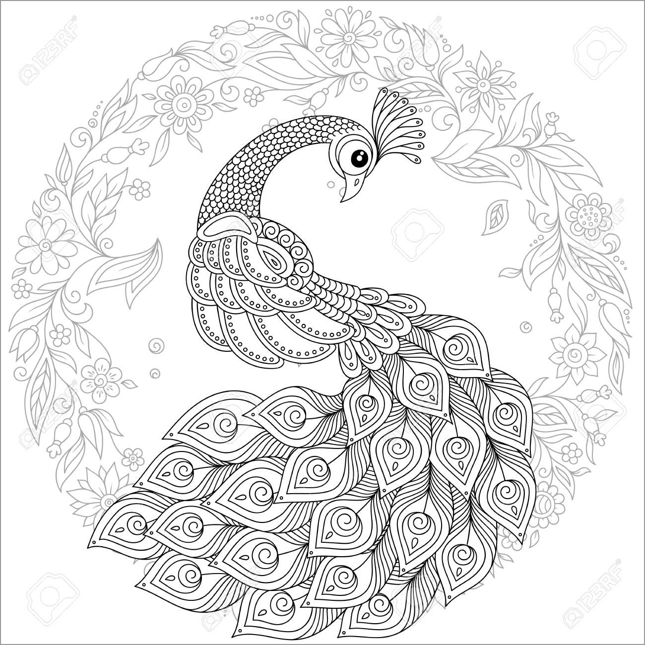 Cute Peacock Coloring Pages