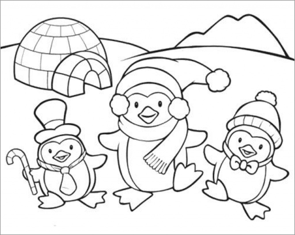 Penguin Coloring Pages   ColoringBay