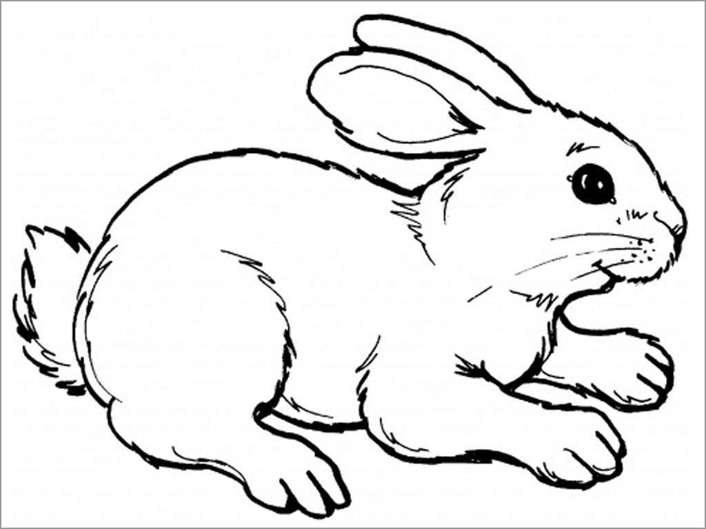 400 Coloring Pages For Bunnies  Free