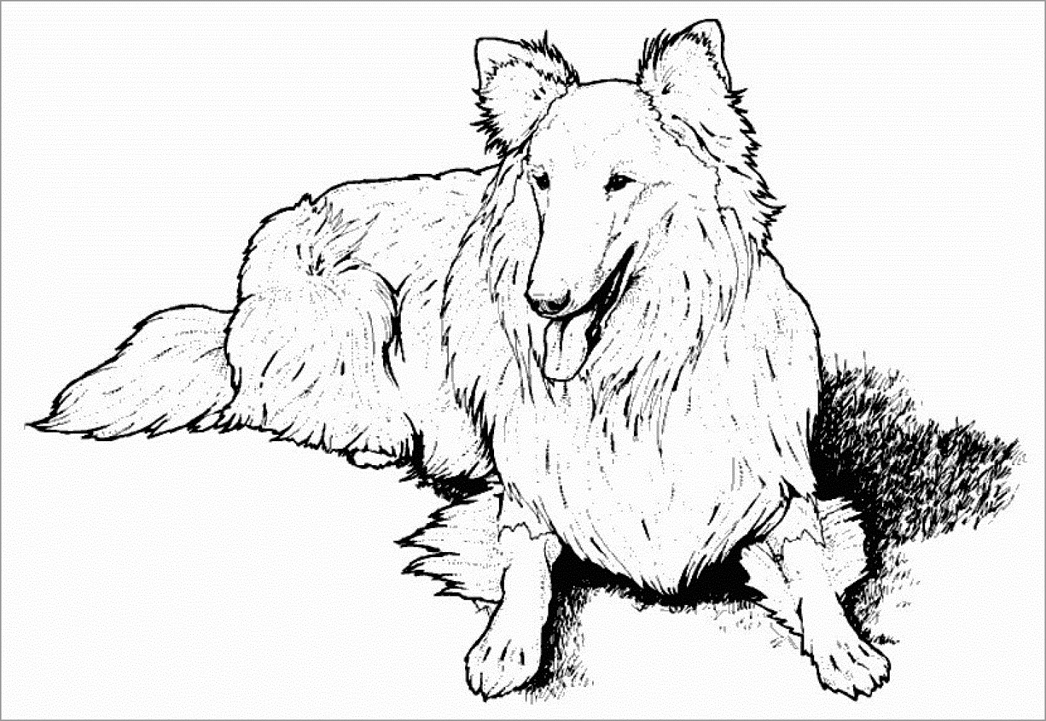 Cute Realistic Puppy Coloring Page Coloringbay