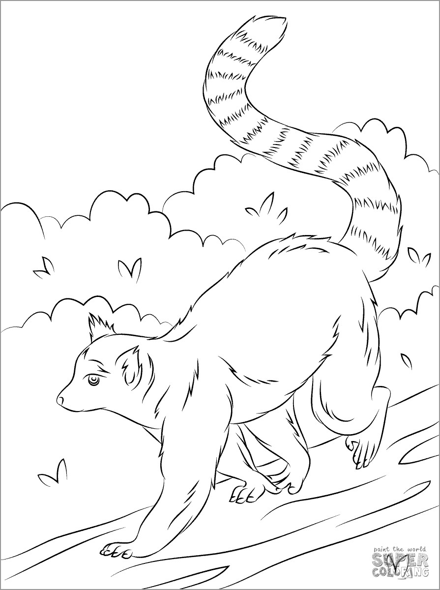 Cute Ring Tailed Lemur Coloring Page
