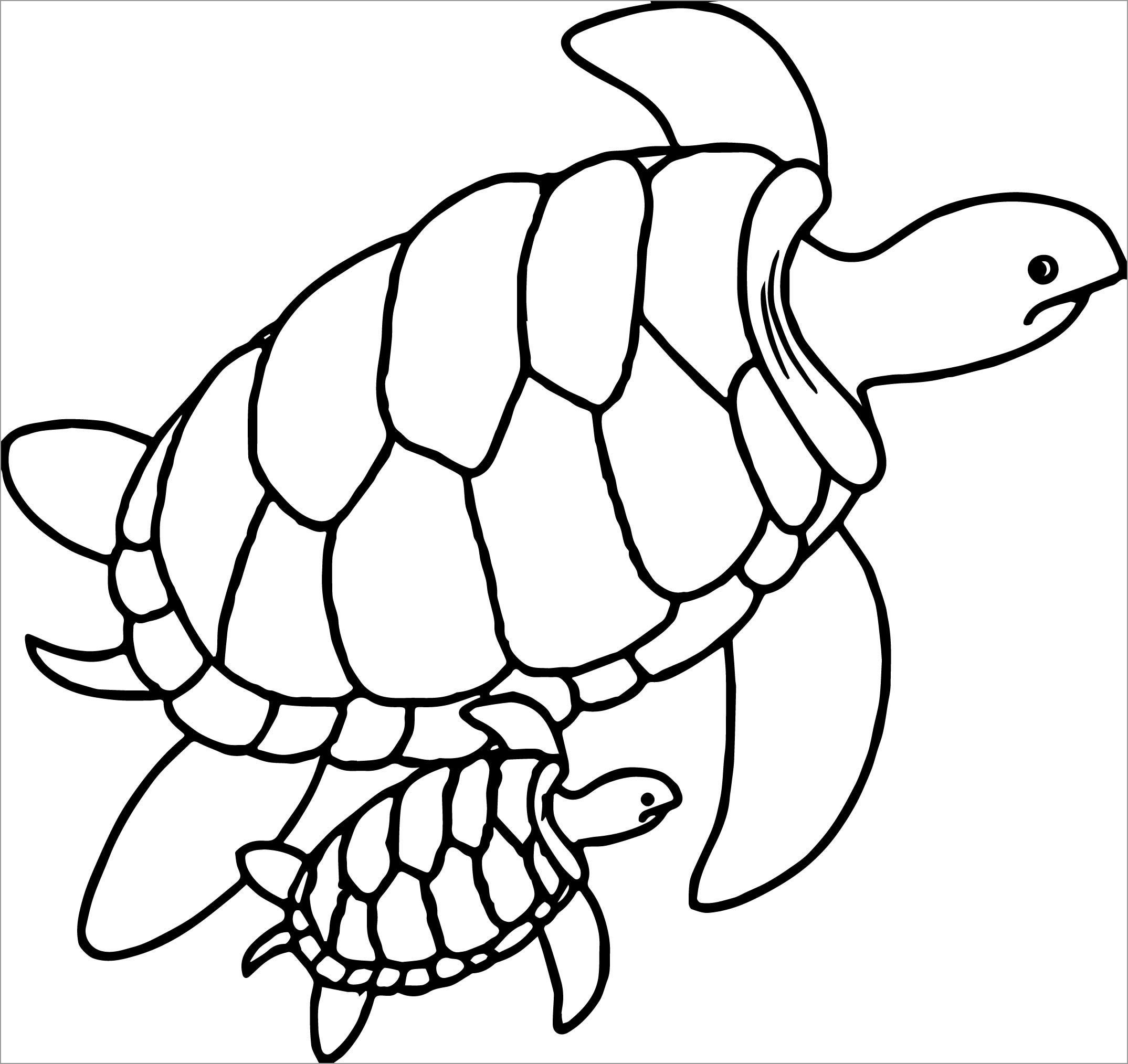 Free Printable Sea Turtle Coloring Pages