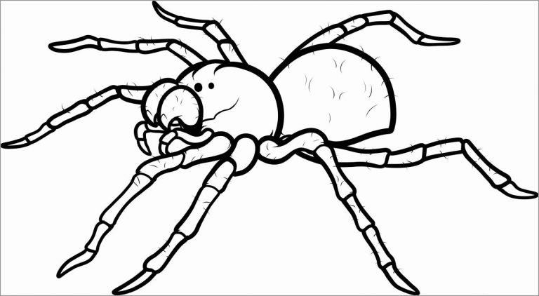 Tarantula Coloring Pages - ColoringBay