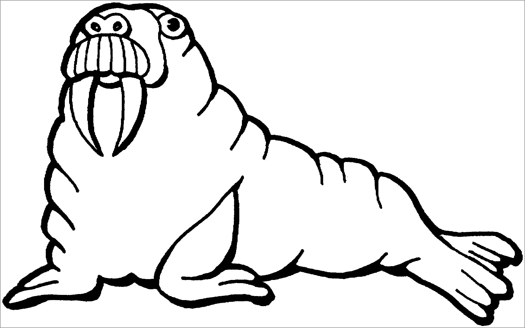 Cute Walrus Coloring Pages