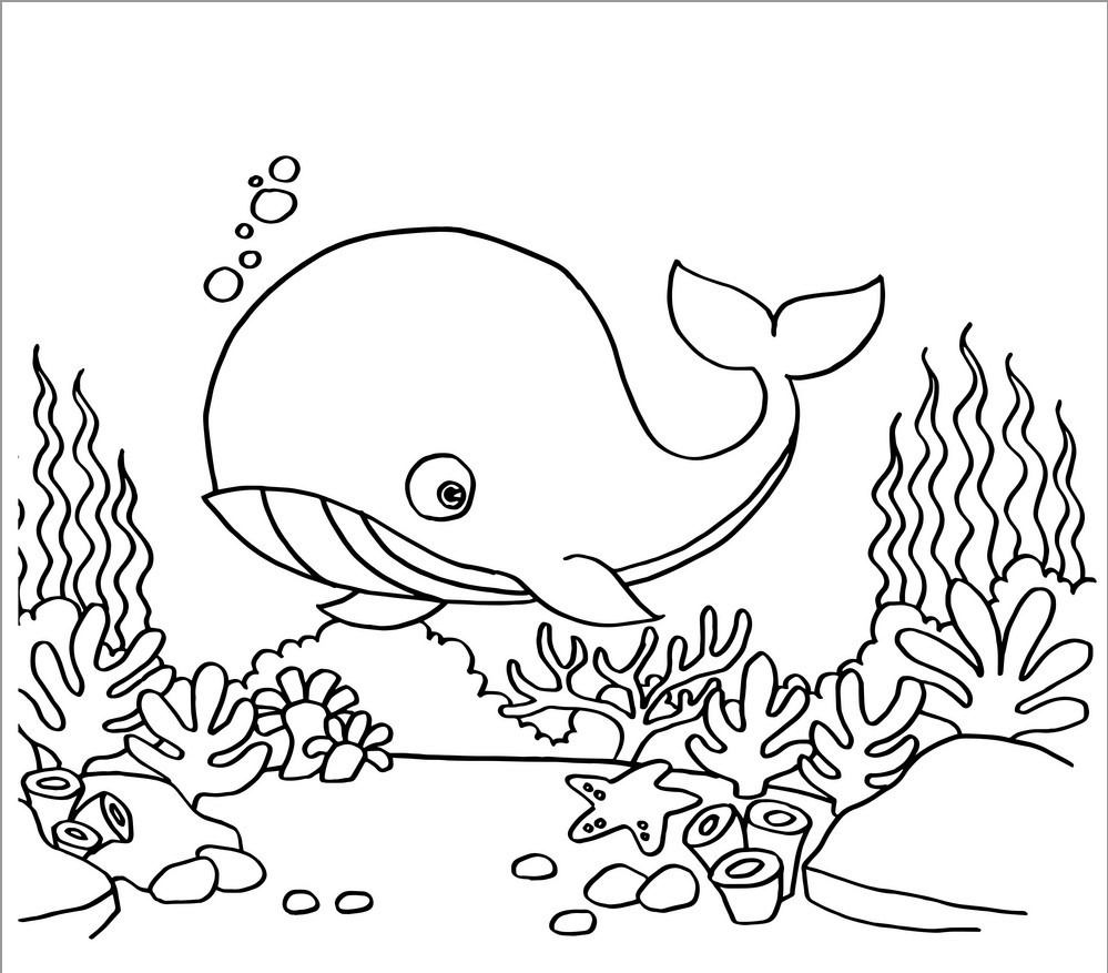 Cute Whale Coloring Page for Kids   ColoringBay