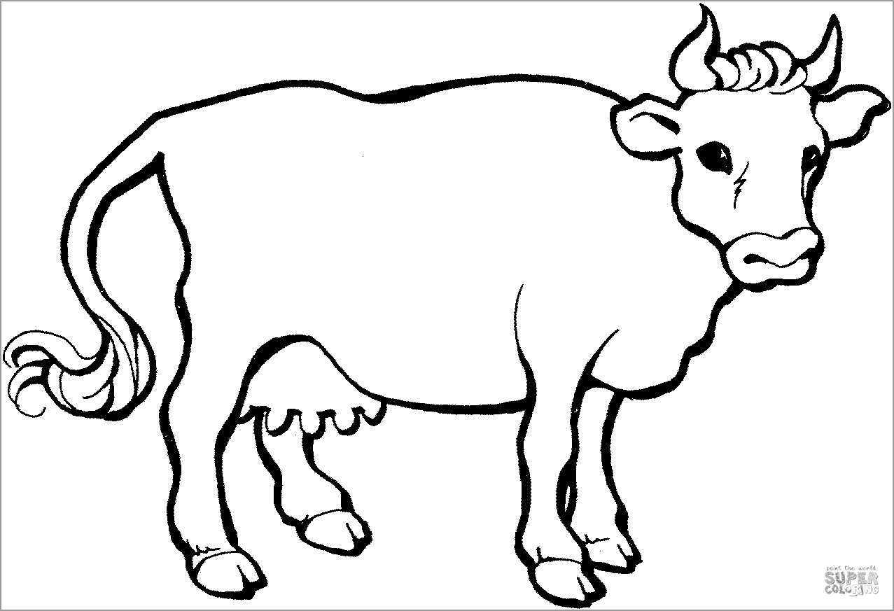 Dairy Cow Coloring Page