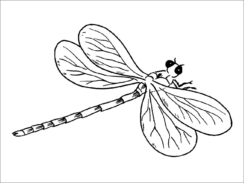 Damselfly Coloring Pages
