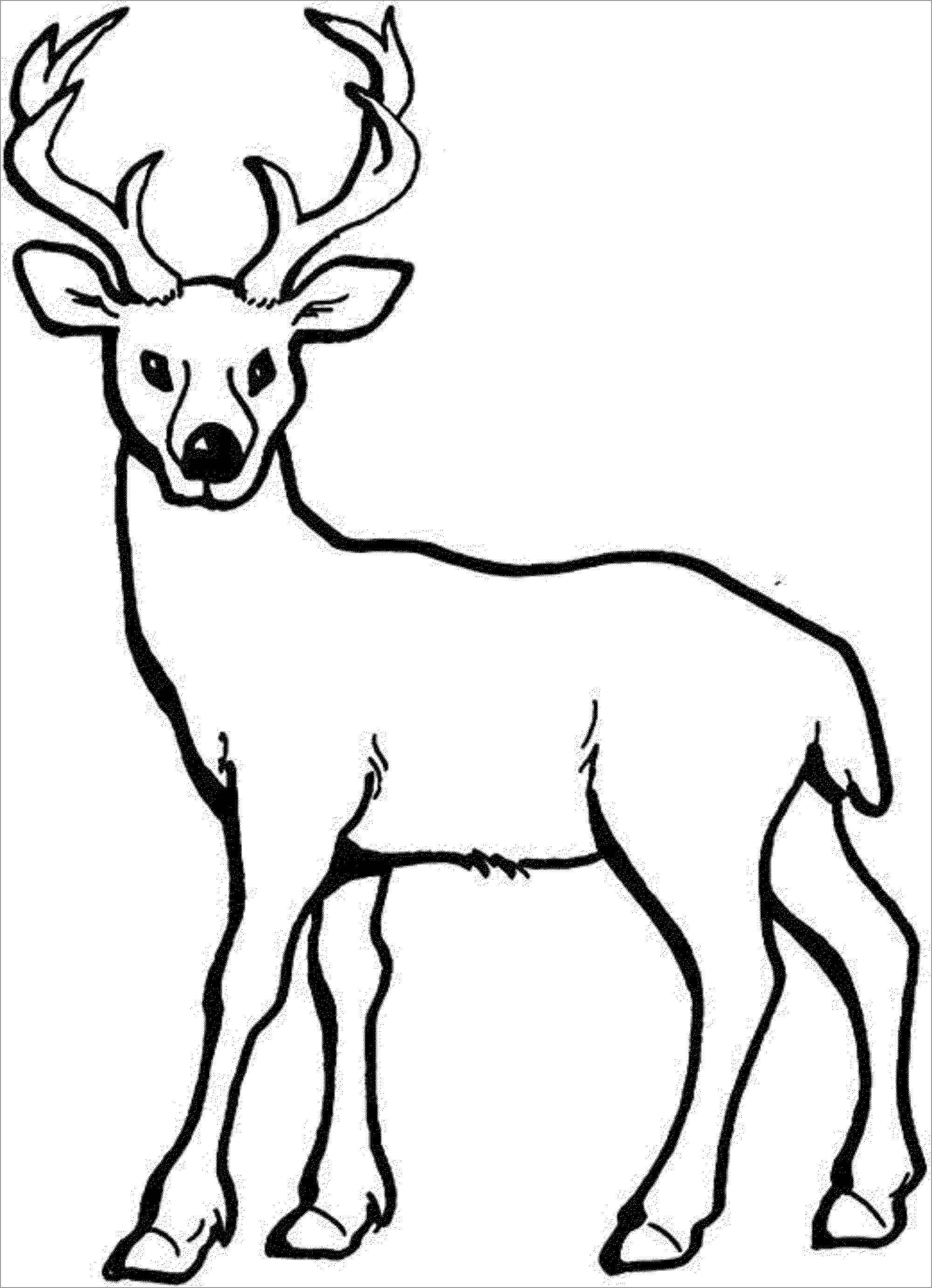 Deer Coloring Page for Kids