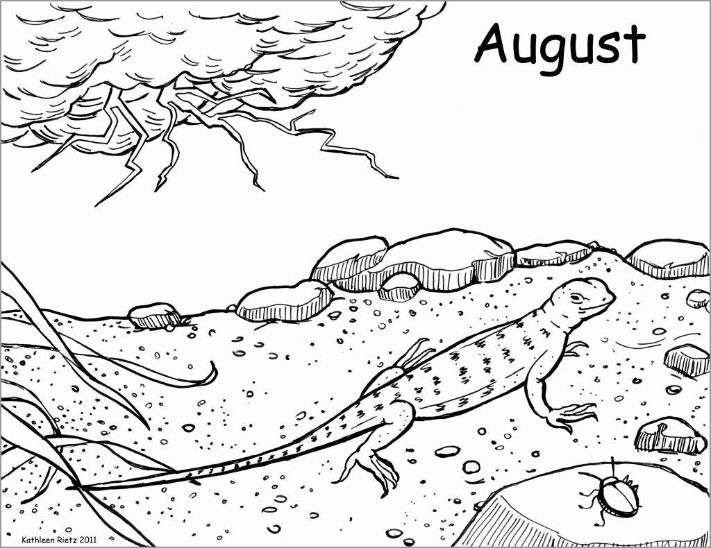 Desert Lizard Coloring Pages for Kids