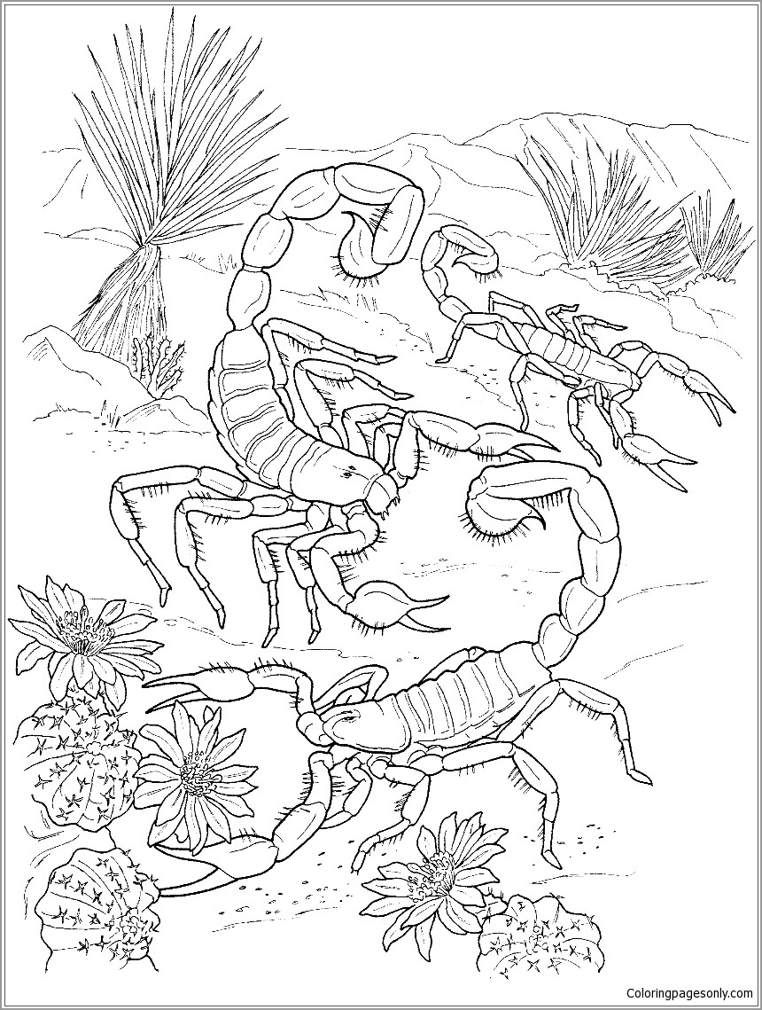 Desert Scorpions Coloring Page