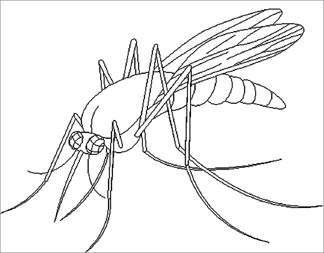 Detailed Mosquito Coloring Page