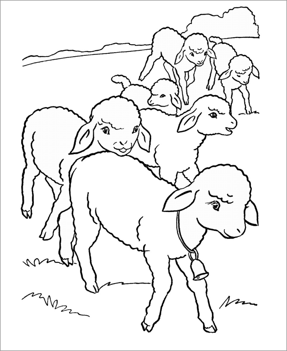 Drawn Lamb Coloring Page