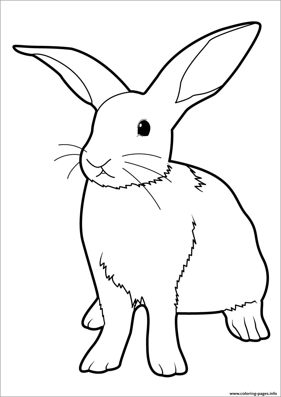 Easter Bunny Rabbit Coloring Page